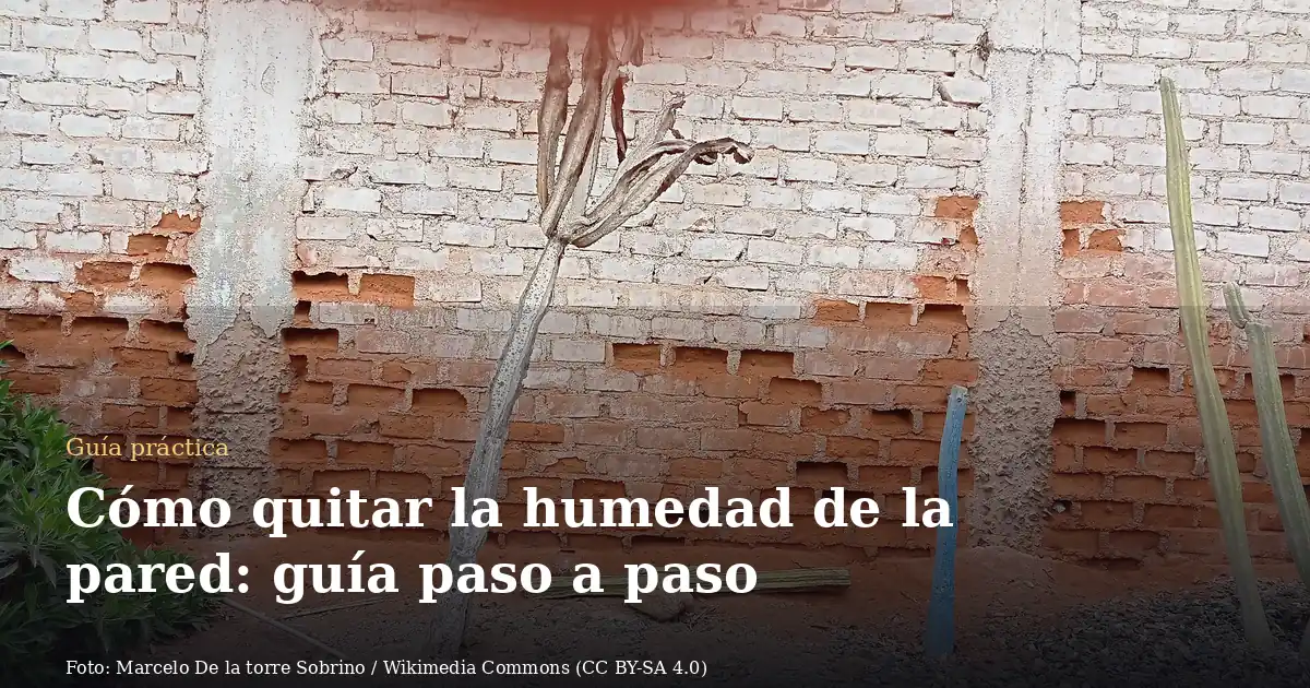 Cómo quitar la humedad de la pared: guía paso a paso