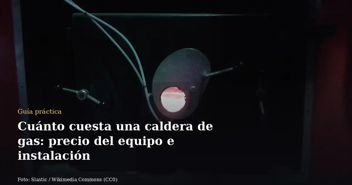 Cuánto cuesta una caldera de gas: precio del equipo e instalación