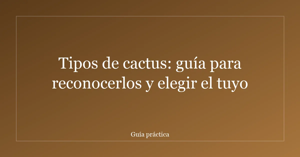 Tipos de cactus: guía para reconocerlos y elegir el tuyo